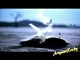 Din Pareshan Hai - Bol The Movie _ Video Mixing & Editing By (ariyaanrocky) razi - YouTube_0