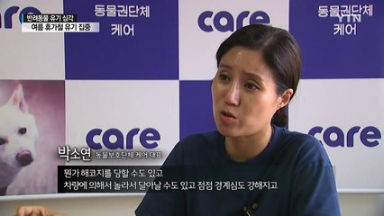 '돌아온 유기의 계절' 반려동물 잔혹사 / YTN
