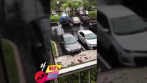 Scary First Video Miami hit by Irma Hurricane , Florida - hurricane Irma aftermath