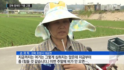 강수량 평년의 1/3수준...경북 동해안은 가뭄 고통 / YTN