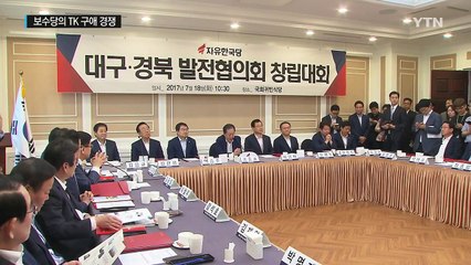 '양날의 검' 보수당의 TK 구애...승부처는 지방선거 / YTN