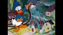 ᴴᴰ Donald Duck & Chip and Dale Cartoons - Disney Pluto, Mickey Mouse Clubhouse Full Episod