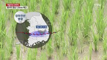 [날씨] 게릴라성 장맛비...이번에는 영남에 120mm 호우 / YTN