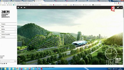 Une ville-forêt pour lutter contre le réchauffement climatique