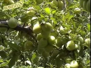 Bnet oudaden ******a tayri gmine aykane******