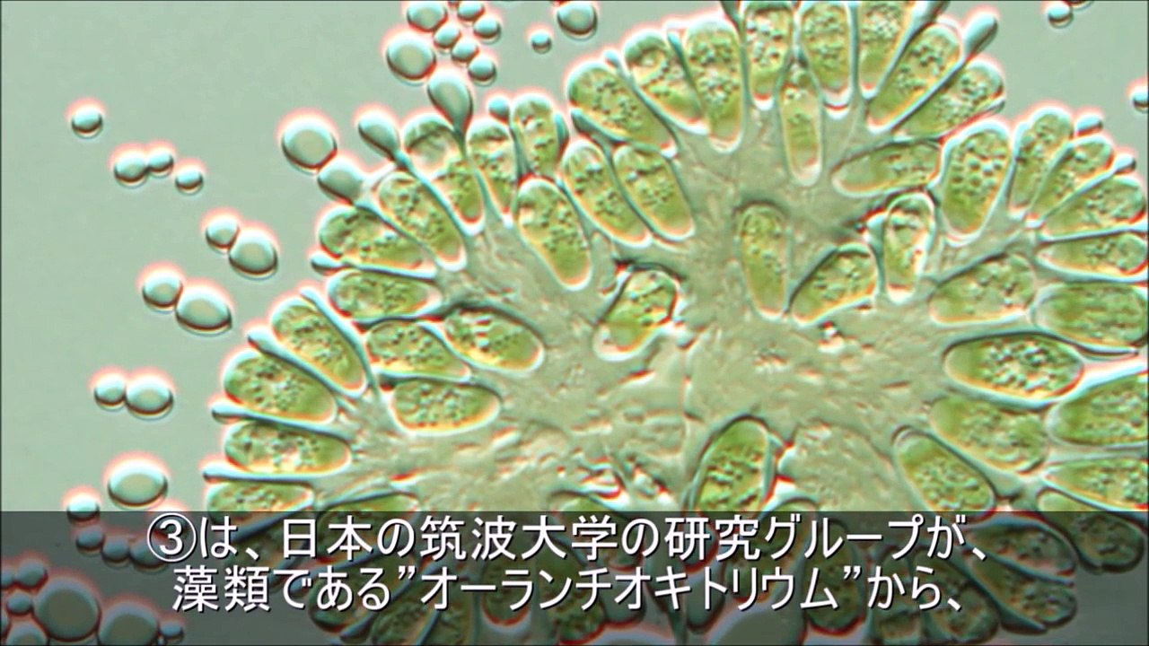 実在したと言われるタイムトラベラー5選＋天才科学者が行ったタイムトラベル実験の結果とは？