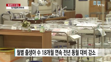 출생아 수 18개월 연속 감소...올해 40만 명 붕괴 확실 / YTN