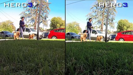 GoPro Hero3 vs GoPro Hero 3_ Black Edition Review