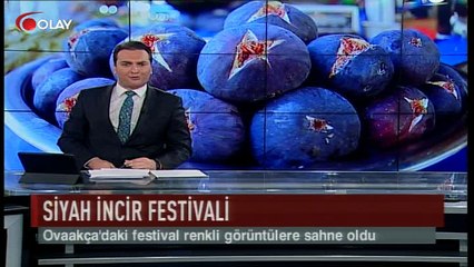 Siyah İncir Festivali (Haber 10 09 2017)