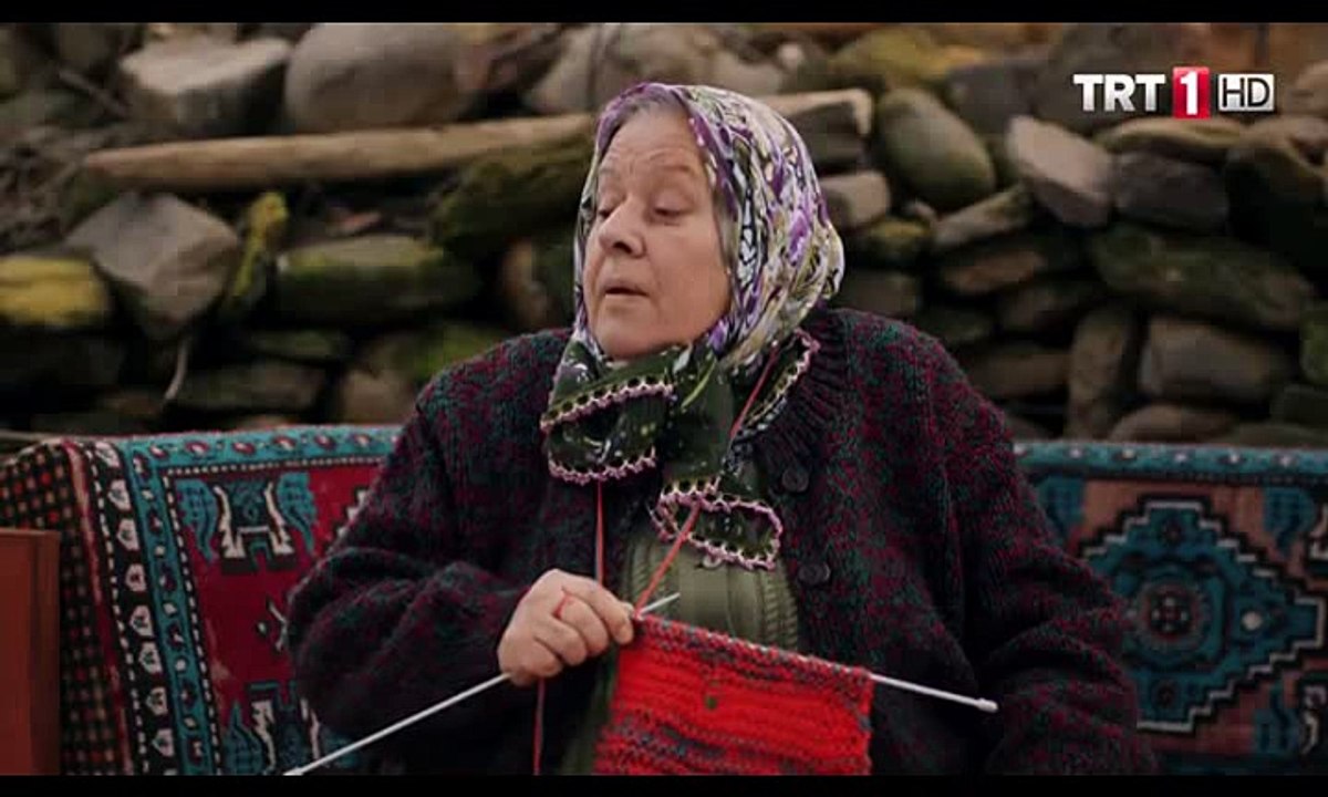 Yeşil Deniz 20