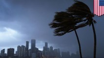Hurricane Irma: What is a storm surge? - TomoNews