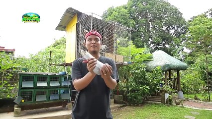 Alagang Magaling S8 EP3 - KALAPATINEUR WALLY SAN PASCUAL