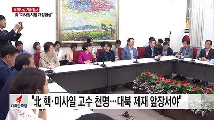 여야, 北 규탄...'잔여 사드 배치' 입장 제각각 / YTN