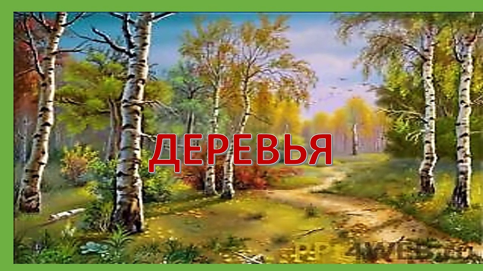 ⁣Презентация для детей. Виды деревьев для дошкольников