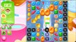Candy Crush Jelly Saga Level 248 NEW No Boosters