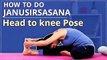 How To Do Head To Knee Pose | JANU SIRSASANA FOR BEGINNERS | Simple Yoga Lessons | YOGA VIDEO
