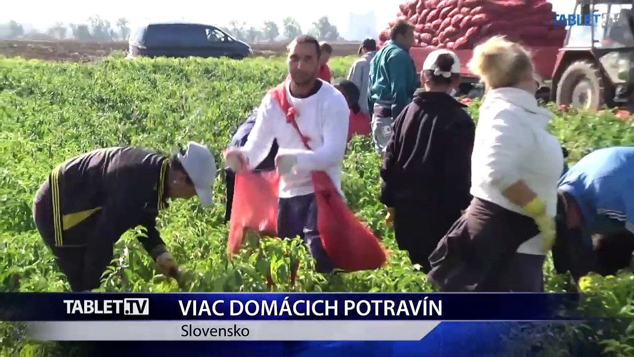 Projekt na podporu slovenských potravín je podľa Matečnej úspešný