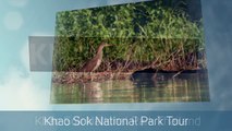 Khao Sok National Park Lake Tour