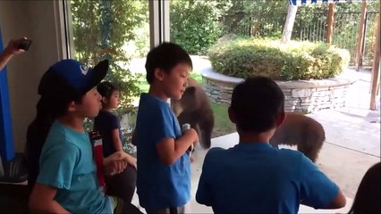 Cet ourson a trouvé son nouveau jouet préféré une bouée gonflable