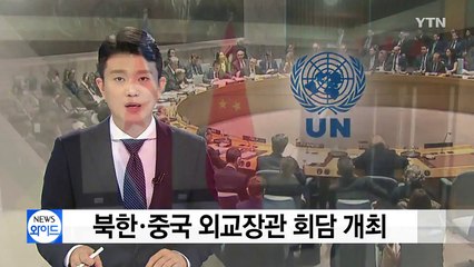 북한-중국, 외교장관 회담 개최 / YTN