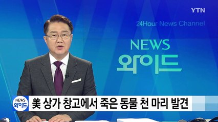 美 상가 창고에서 죽은 동물 천 마리 발견 / YTN