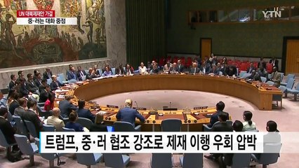 트럼프 "안보리 제재 결의 중·러에 감사"...중·러는 대화 방점 / YTN
