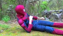 Perro divertido su en en vida pierde hombre película perrito araña hombre araña superhéroes Real 2016