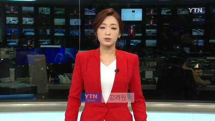 안산 알루미늄 코팅 공장 질산 누출 / YTN