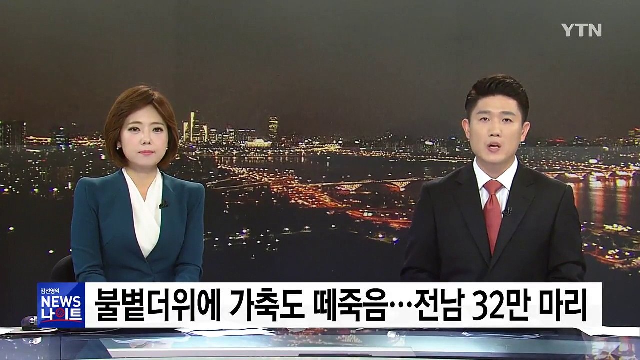 불볕더위에 가축도 떼죽음...전남 32만 마리 / YTN