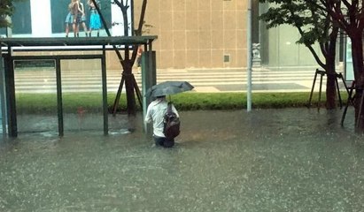 Güney Kore'de sel... Busan sular altında