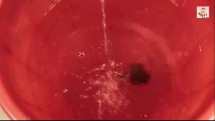 New Funny Video !! Dehati Comedy Video - Funny Video Dhamaka