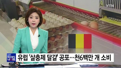 '살충제 달걀' 천6백만 개 소비...벨기에, EU에 '늑장 통보' / YTN