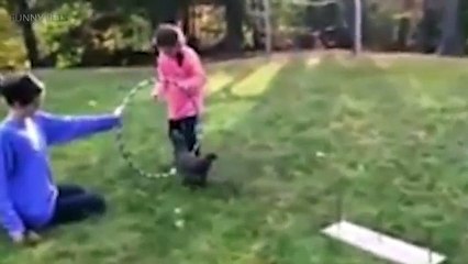 Funny-Chickens-2017- Funny-Pets