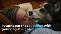 Sleeping with your pet might be the cure for a good night's rest