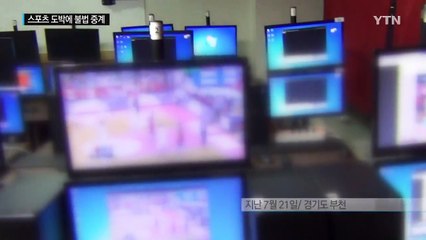 스포츠 도박에 '불법 중계'...취준생도 가담 / YTN