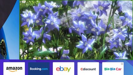 حلقة 1 هجوم العمالقة