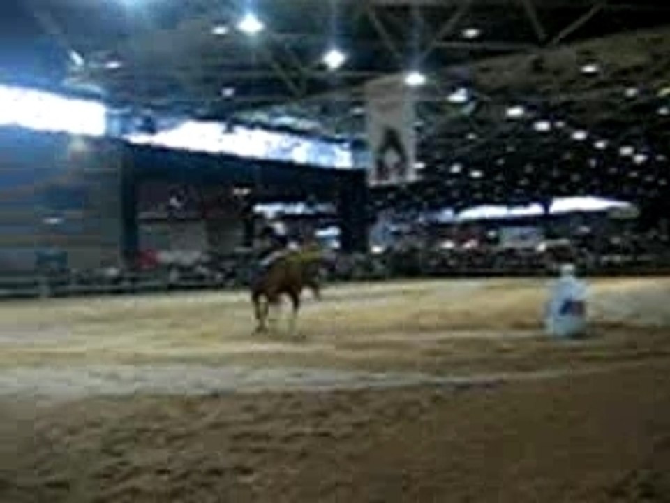 Karen Barrel Equita'Lyon
