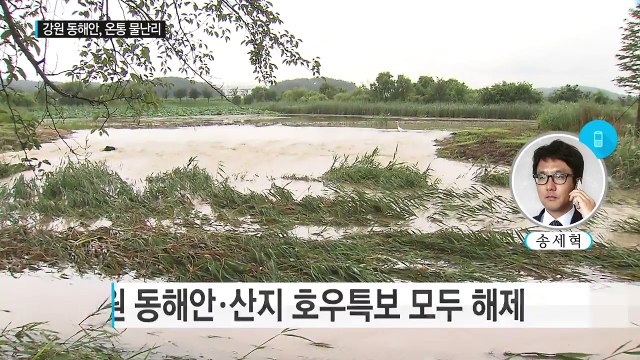 강원 영동 300mm 물 폭탄...도로 침수 잇따라 / YTN