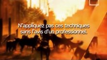 Sans Titre