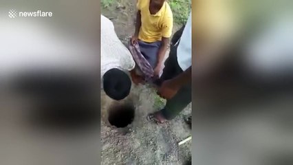 Man held by his feet to rescue lamb fallen in well