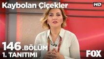 Kaybolan Çiçekler 146. Bölüm 1. Tanıtımı