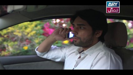 Babul Ki Duayen Leti Ja - Episode 165 on Ary Zindagi in High Quality - 11th September 2017