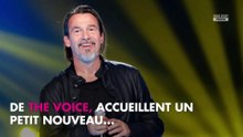 The Voice : Pascal Obispo rejoint Zazie et Florent Pagny dans le jury
