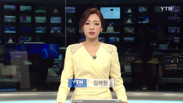여야, 8월 임시국회 18일 개회 합의 / YTN