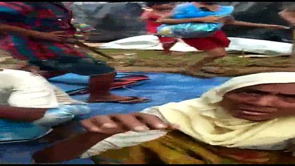 Rohingya Muslims video juif Senator