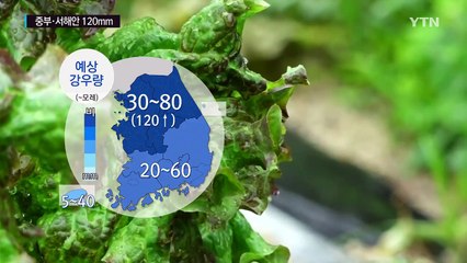 [날씨] 광복절에도 전국 산발적 비...중부 서해안 120mm / YTN