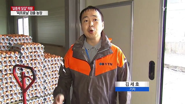 '피프로닐' 검출 농장 달걀, 상당수 유통·소비된 듯 / YTN