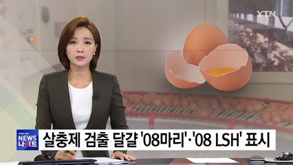 달걀에 '08마리'·'08 LSH' 표시돼 있으면 먹지 말아야 / YTN