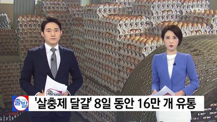[단독] '살충제 달걀' 8일 동안 16만 개 유통 / YTN
