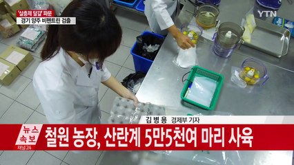 강원도 철원 농장에서 피프로닐 추가 검출 / YTN